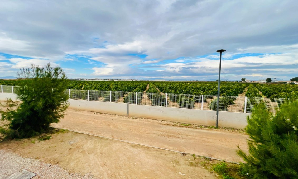 Segunda mano - Apartamento -
Los Alcazares - Santa Rosalía