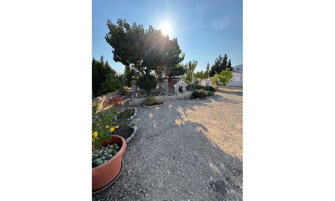 Wiederverkauf - Villa -
Albatera - Partida Lomas