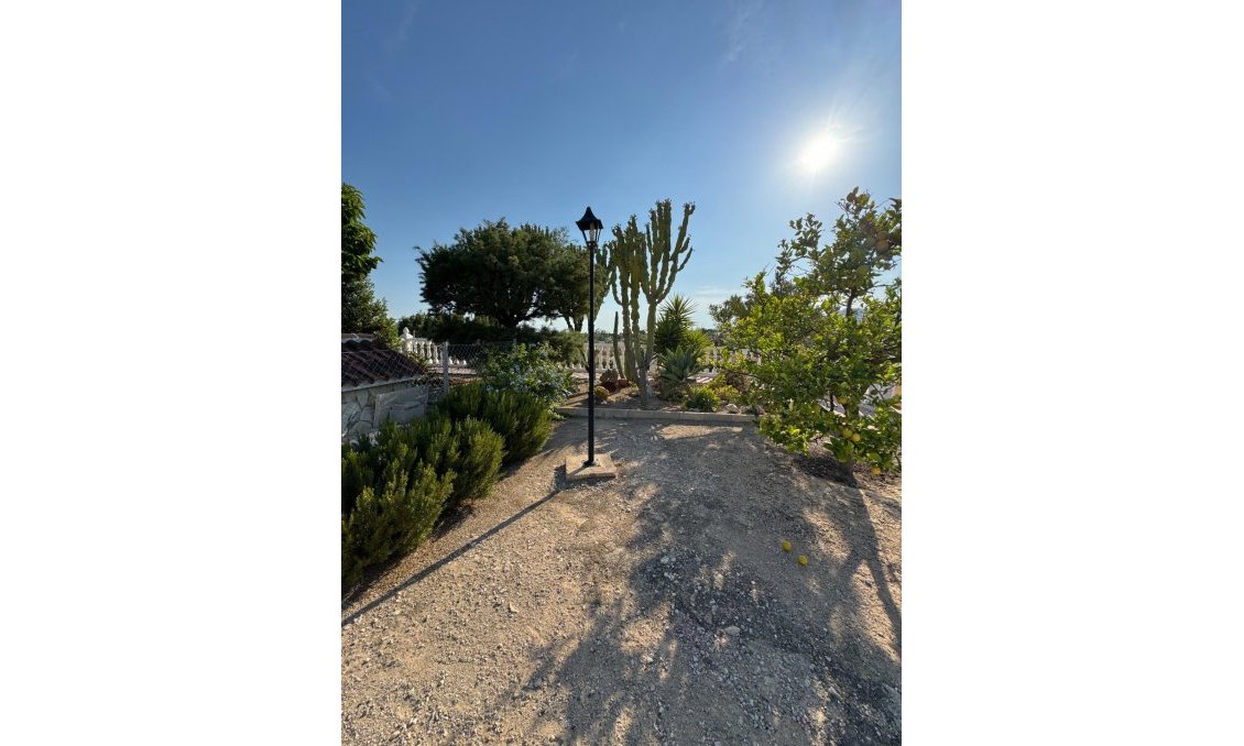 Wiederverkauf - Villa -
Albatera - Partida Lomas