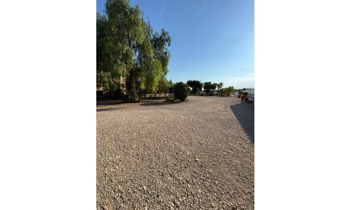 Wiederverkauf - Villa -
Albatera - Partida Lomas