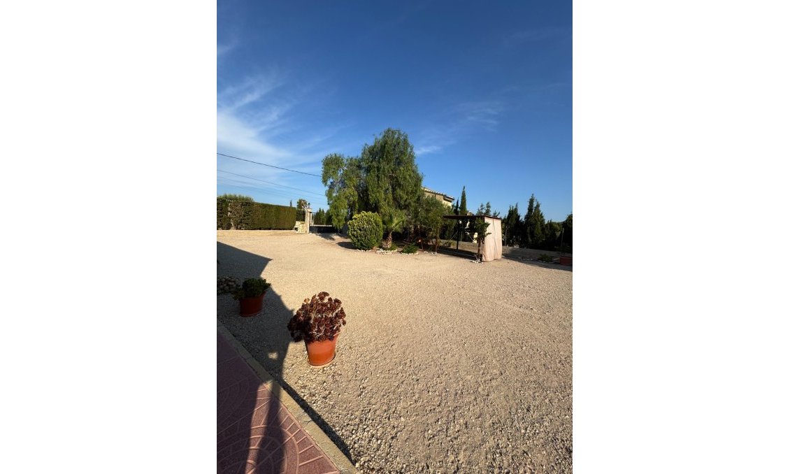 Wiederverkauf - Villa -
Albatera - Partida Lomas