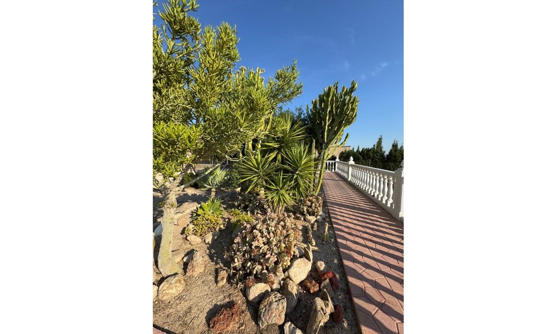Wiederverkauf - Villa -
Albatera - Partida Lomas