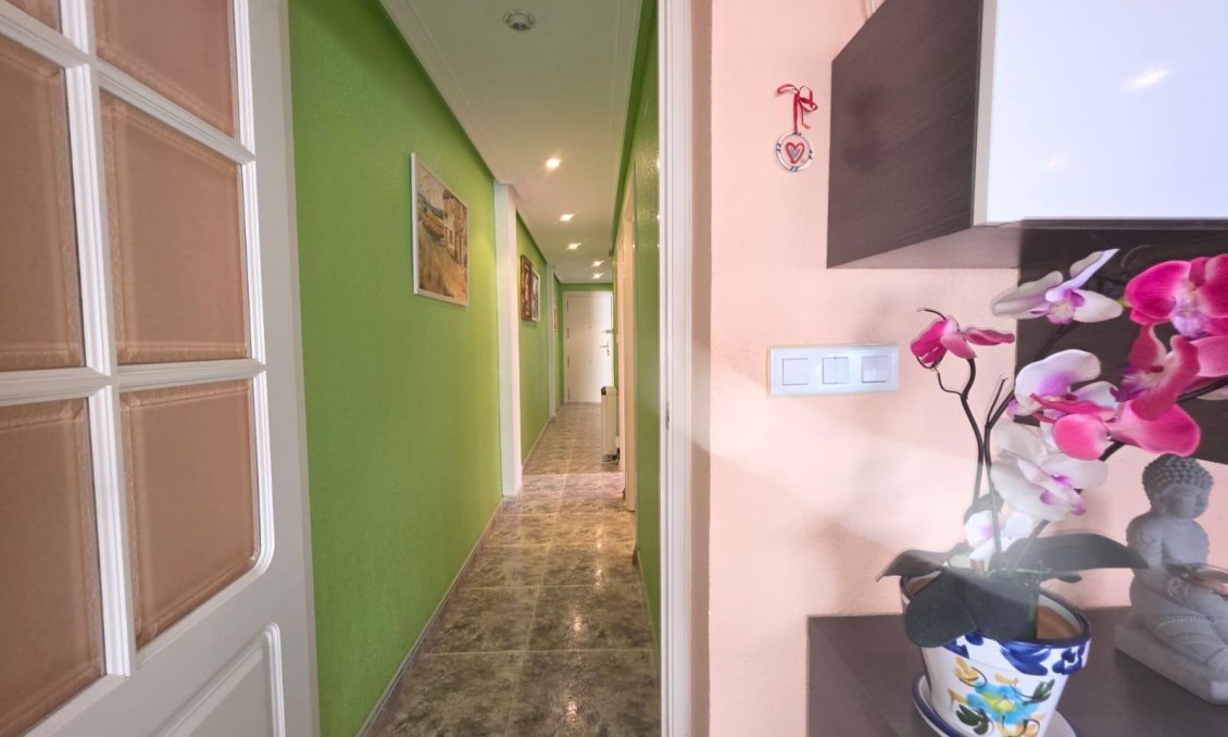 Segunda mano - Apartamento -
Torrevieja - Acequion
