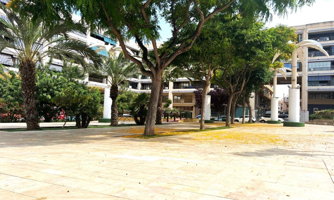 Segunda mano - Apartamento -
Guardamar del Segura - Pueblo