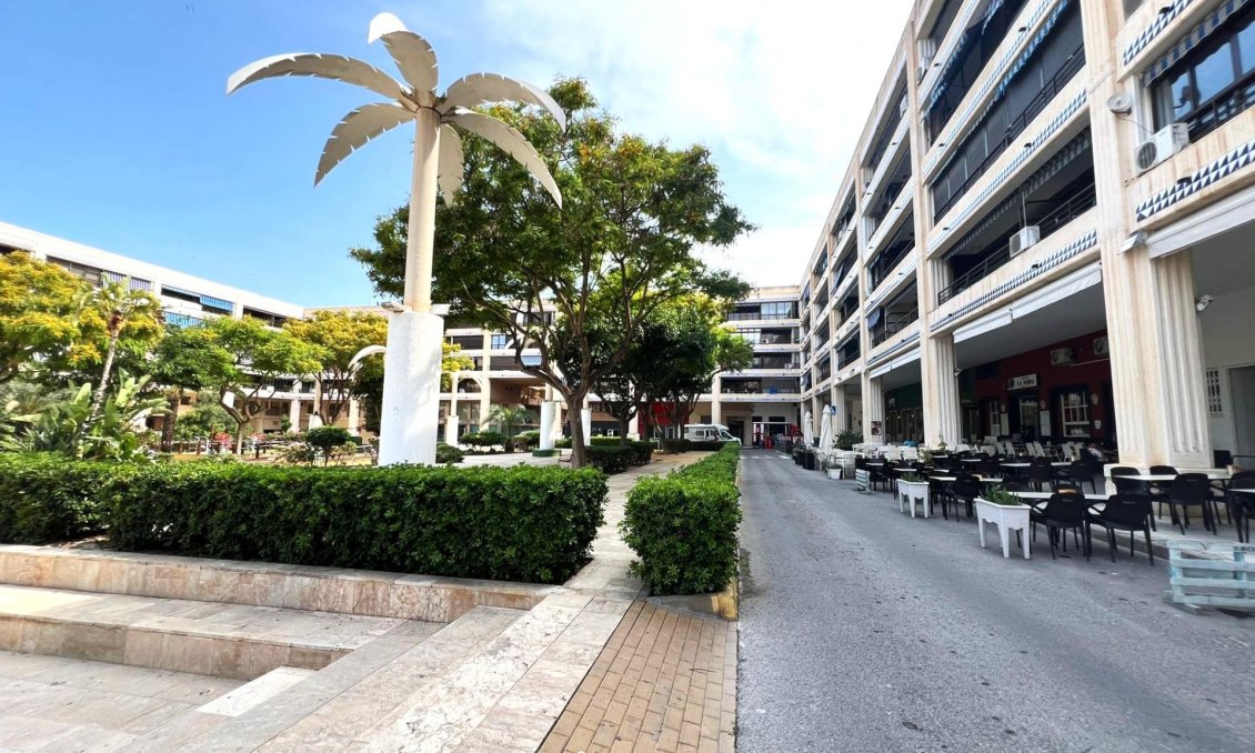 Segunda mano - Apartamento -
Guardamar del Segura - Pueblo