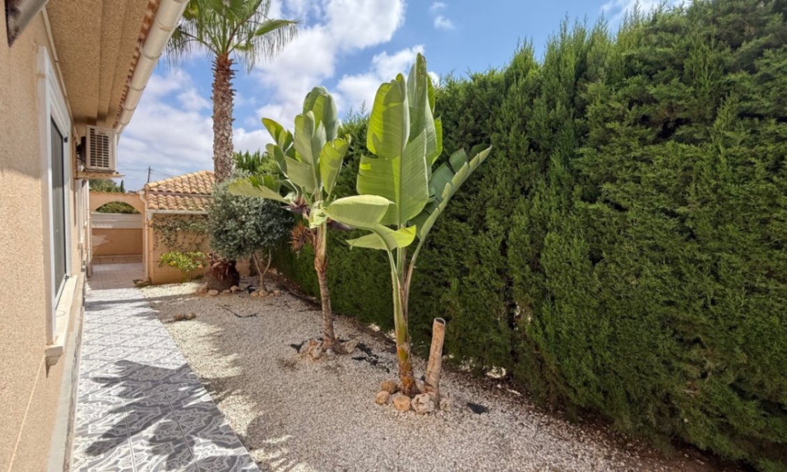 Segunda mano - Villa -
Torrevieja - Costa Blanca