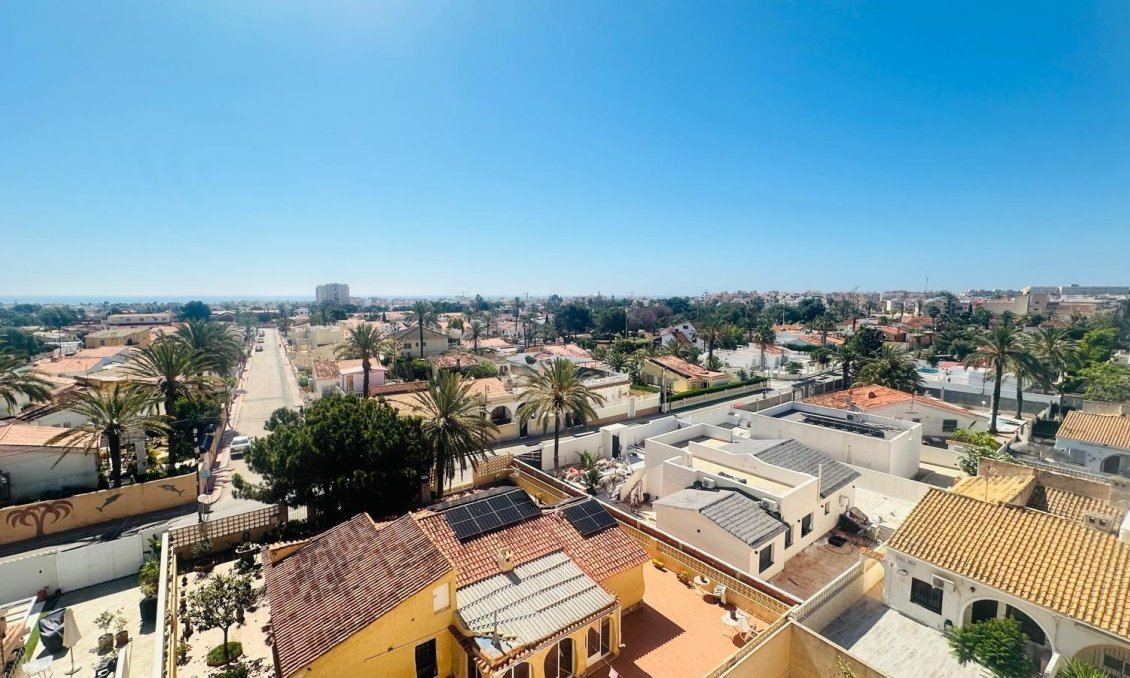 Használt Ingatlanok - Apartman -
Torrevieja - Nueva Torrevieja