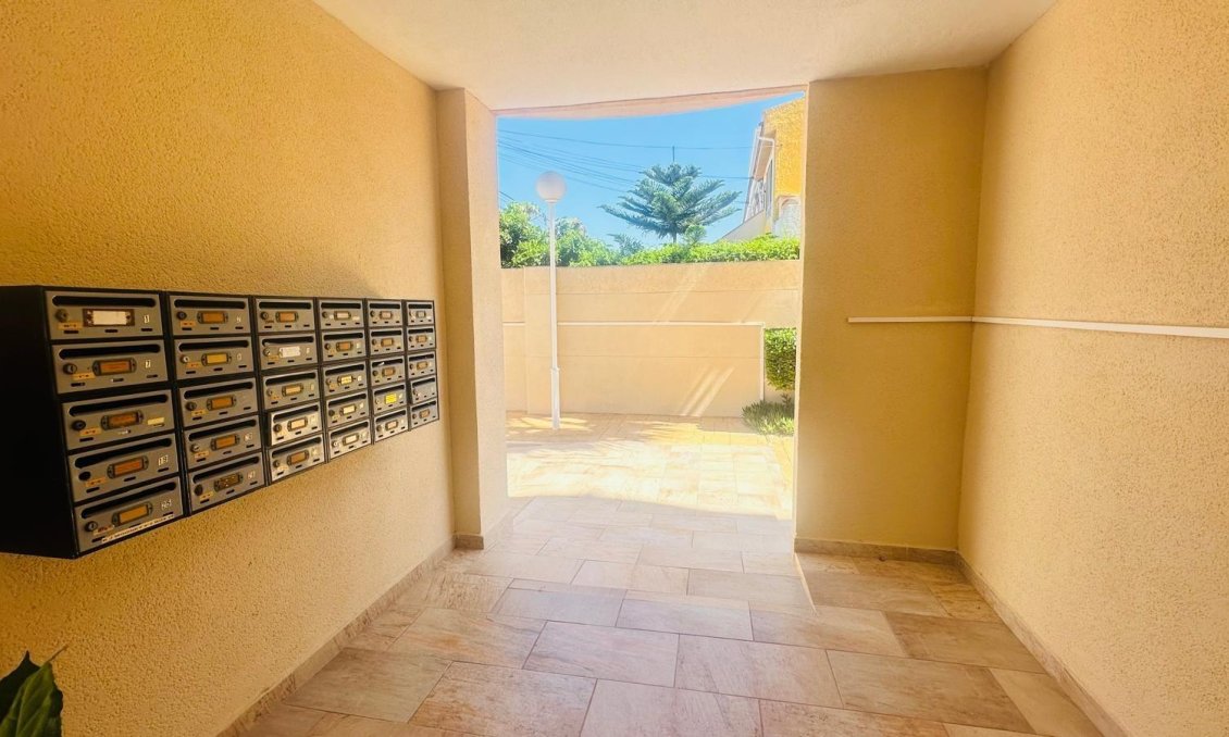 Használt Ingatlanok - Apartman -
Torrevieja - Nueva Torrevieja