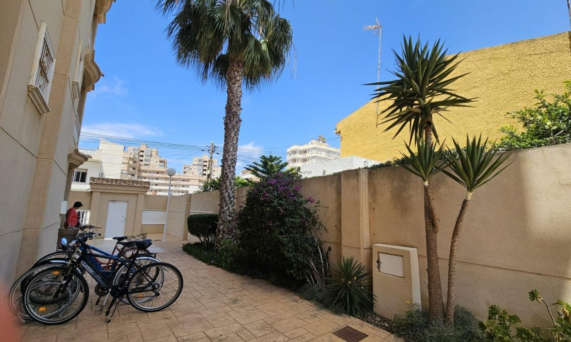 Használt Ingatlanok - Apartman -
Torrevieja - Nueva Torrevieja