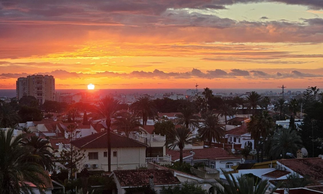Használt Ingatlanok - Apartman -
Torrevieja - Nueva Torrevieja