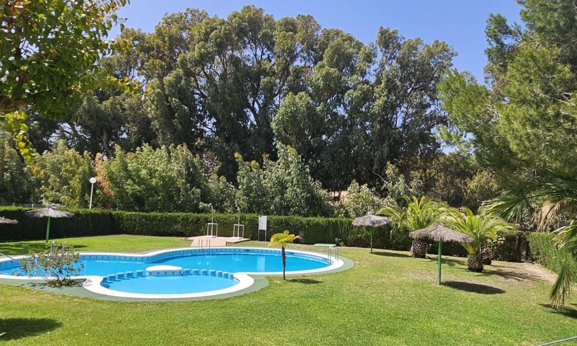 Segunda mano - Town House -
Torrevieja - La Siesta