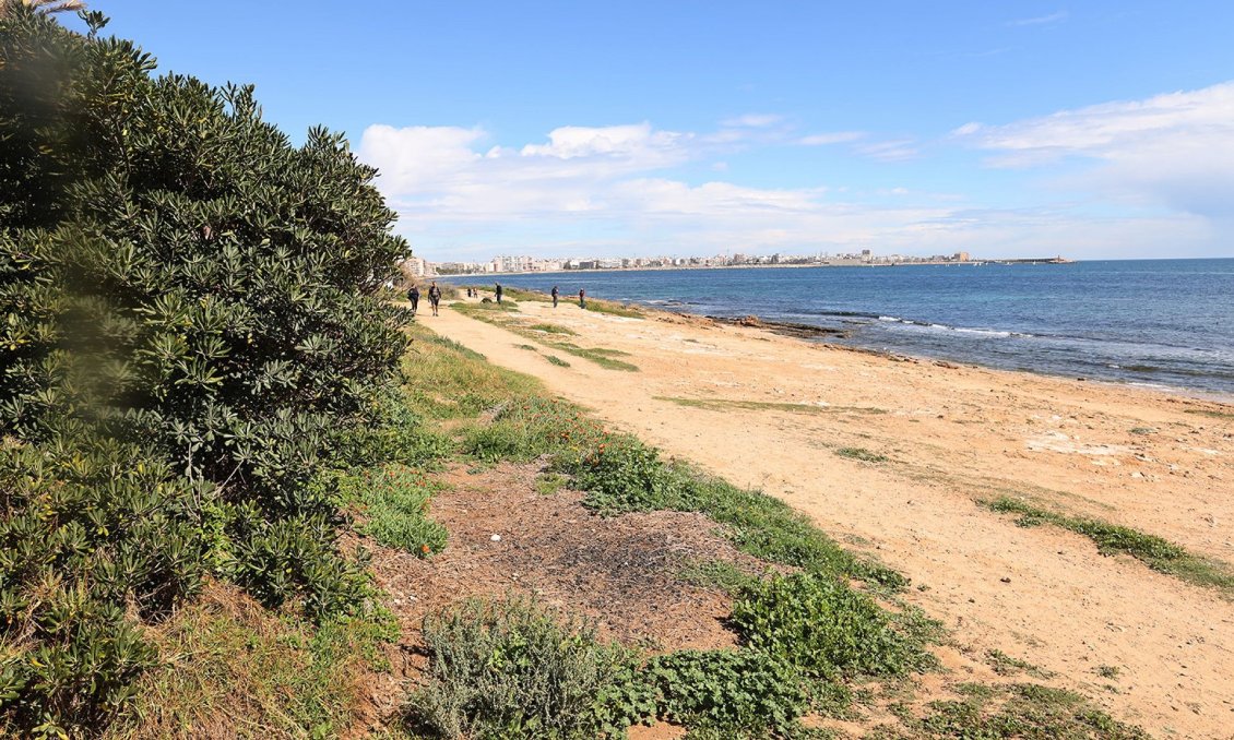 Használt Ingatlanok - Kétszintes lakás -
Torrevieja - Costa Blanca