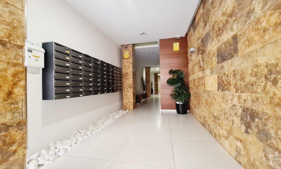 Wiederverkauf - Wohnung -
La Mata - Costa Blanca