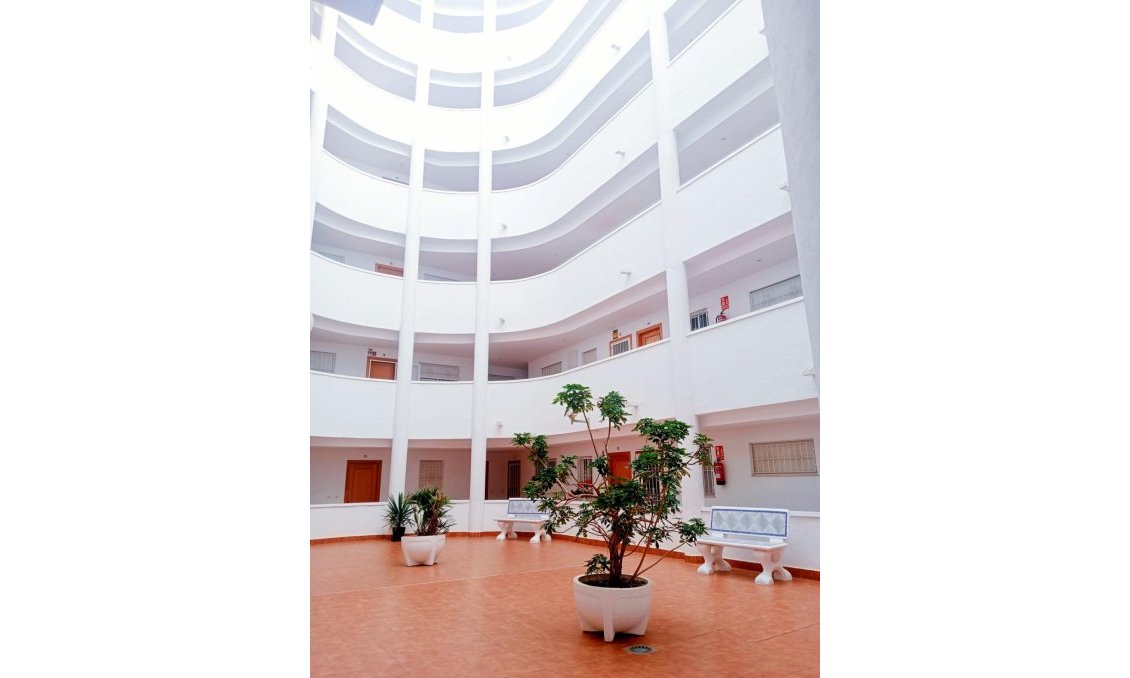 Segunda mano - Apartamento -
Torrevieja - Centro