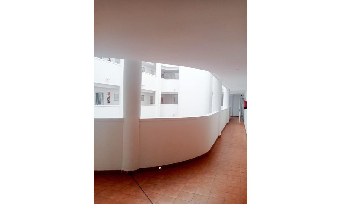 Segunda mano - Apartamento -
Torrevieja - Centro