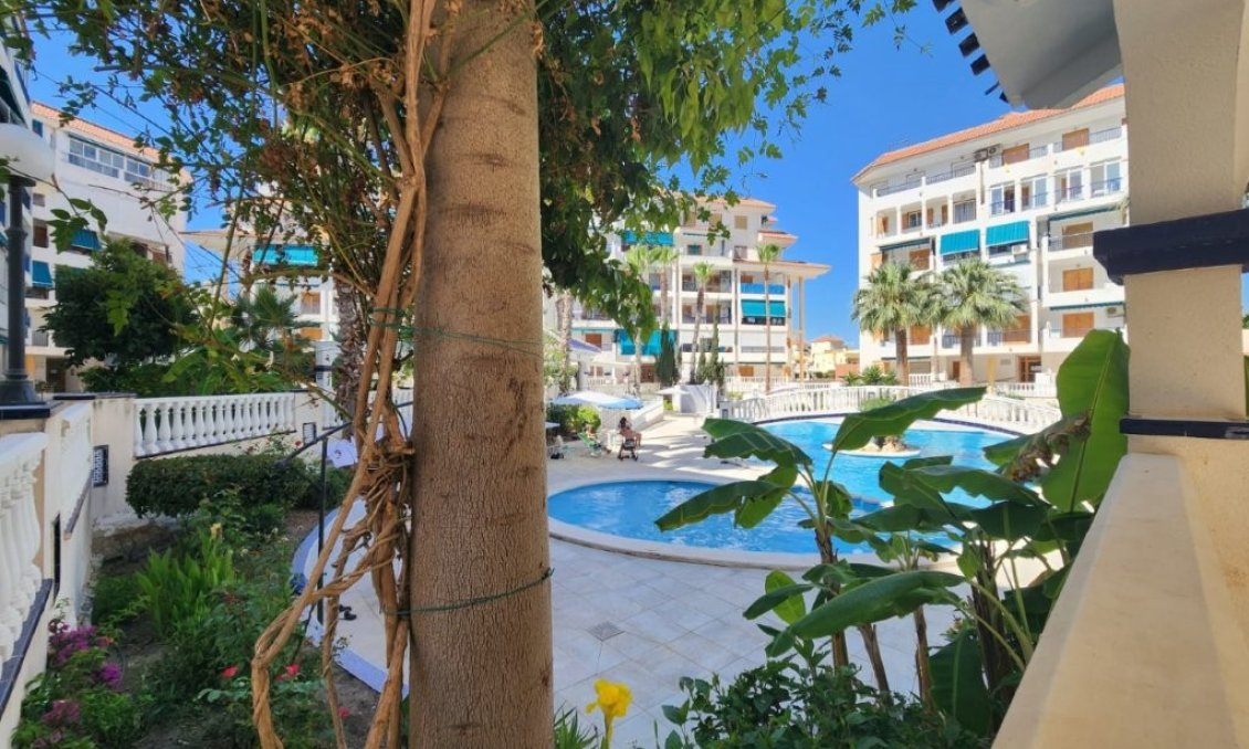 Segunda mano - Apartamento -
La Mata - Costa Blanca