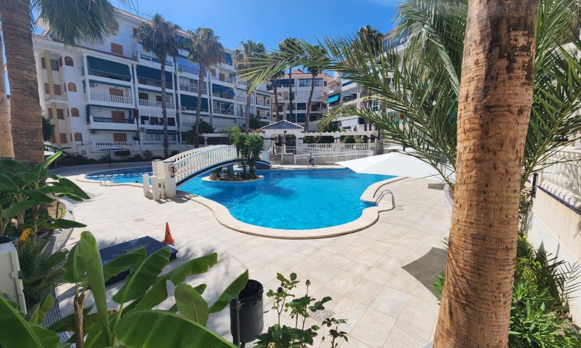 Segunda mano - Apartamento -
La Mata - Costa Blanca