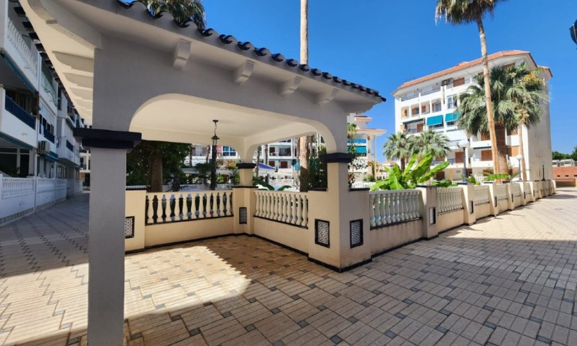 Segunda mano - Apartamento -
La Mata - Costa Blanca