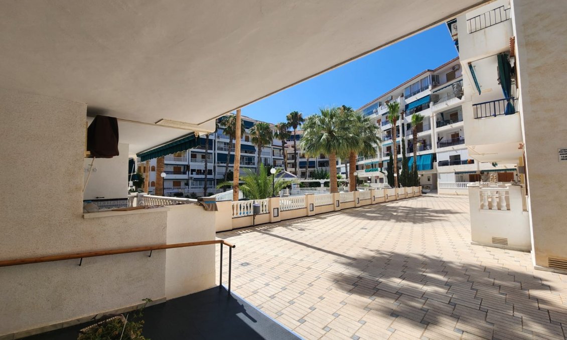 Segunda mano - Apartamento -
La Mata - Costa Blanca