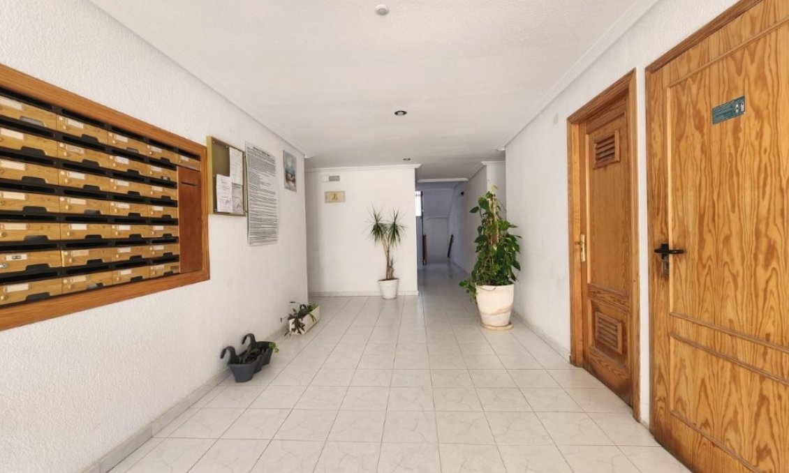 Segunda mano - Apartamento -
La Mata - Costa Blanca