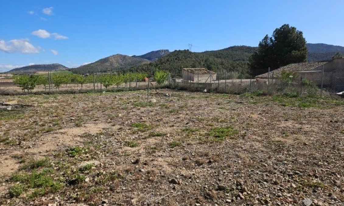 Wiederverkauf - Villa -
Monóvar/Monóver - Comunidad Valenciana