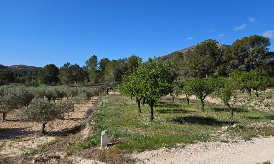 Wiederverkauf - Villa -
Monóvar/Monóver - Comunidad Valenciana