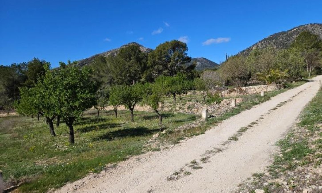 Wiederverkauf - Villa -
Monóvar/Monóver - Comunidad Valenciana