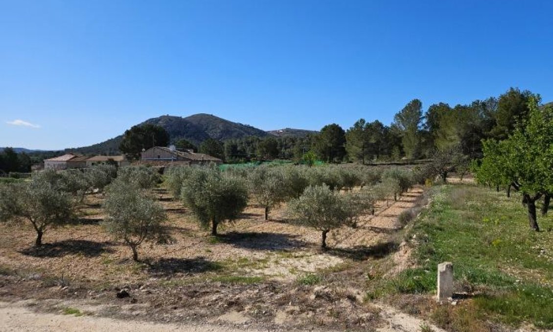 Wiederverkauf - Villa -
Monóvar/Monóver - Comunidad Valenciana