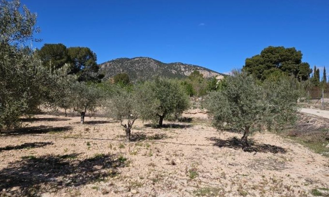 Wiederverkauf - Villa -
Monóvar/Monóver - Comunidad Valenciana