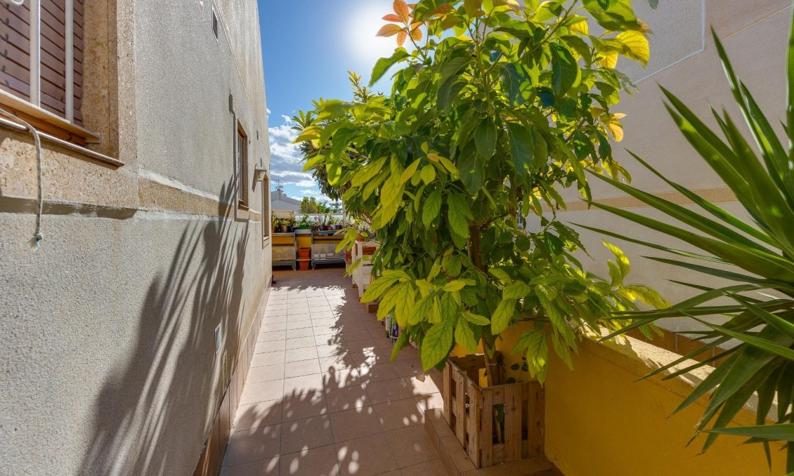 Segunda mano - Town House -
Torrevieja - Aguas Nuevas 2