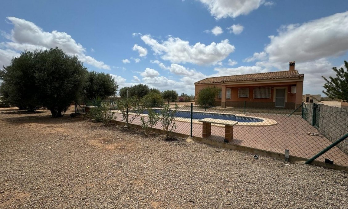 Segunda mano - Town House -
Fuente Álamo - Inland
