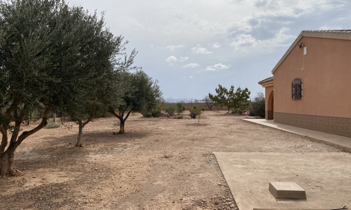 Segunda mano - Town House -
Fuente Álamo - Inland
