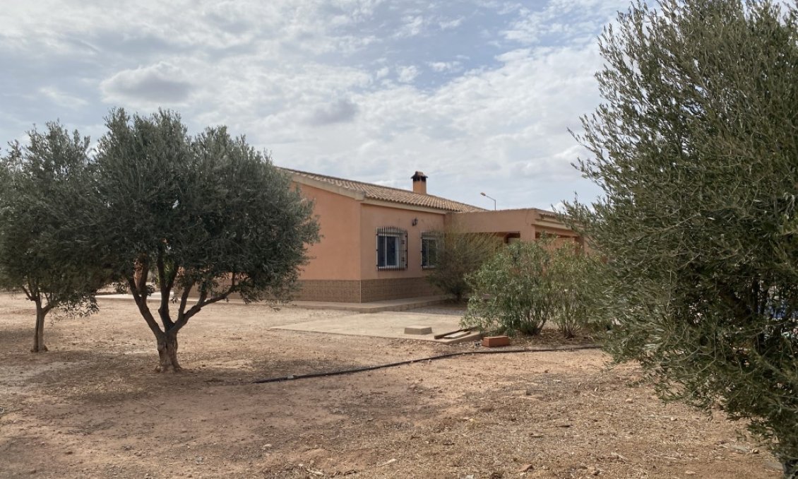 Segunda mano - Town House -
Fuente Álamo - Inland