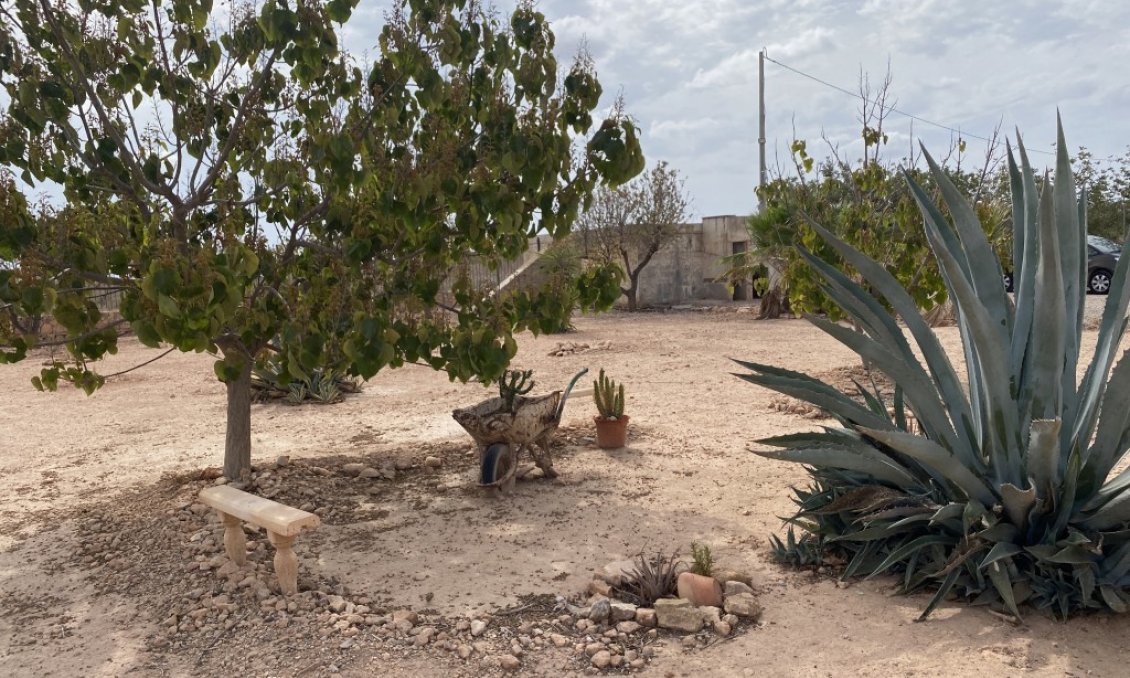 Segunda mano - Town House -
Fuente Álamo - Inland