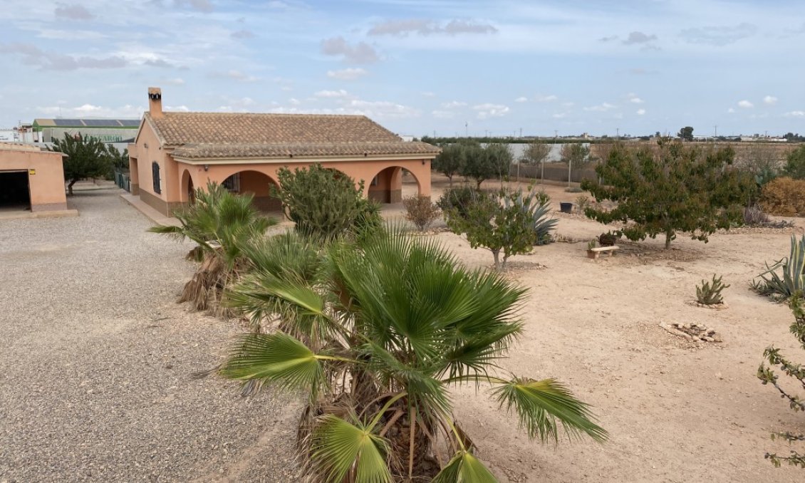 Segunda mano - Town House -
Fuente Álamo - Inland