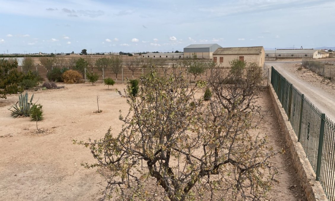Segunda mano - Town House -
Fuente Álamo - Inland