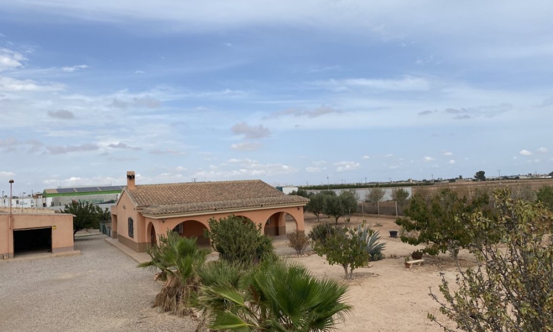 Segunda mano - Town House -
Fuente Álamo - Inland