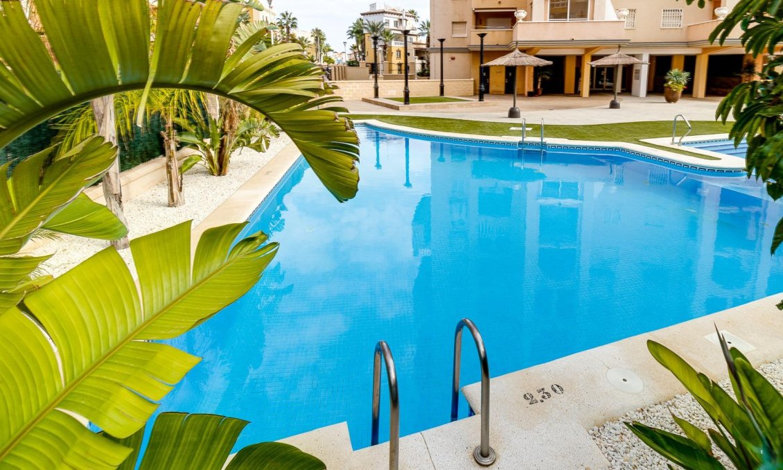 Segunda mano - Apartamento -
Torrevieja - Playa de los Locos
