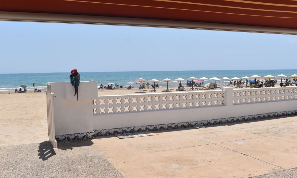 Segunda mano - Villa -
Guardamar del Segura - Costa Blanca