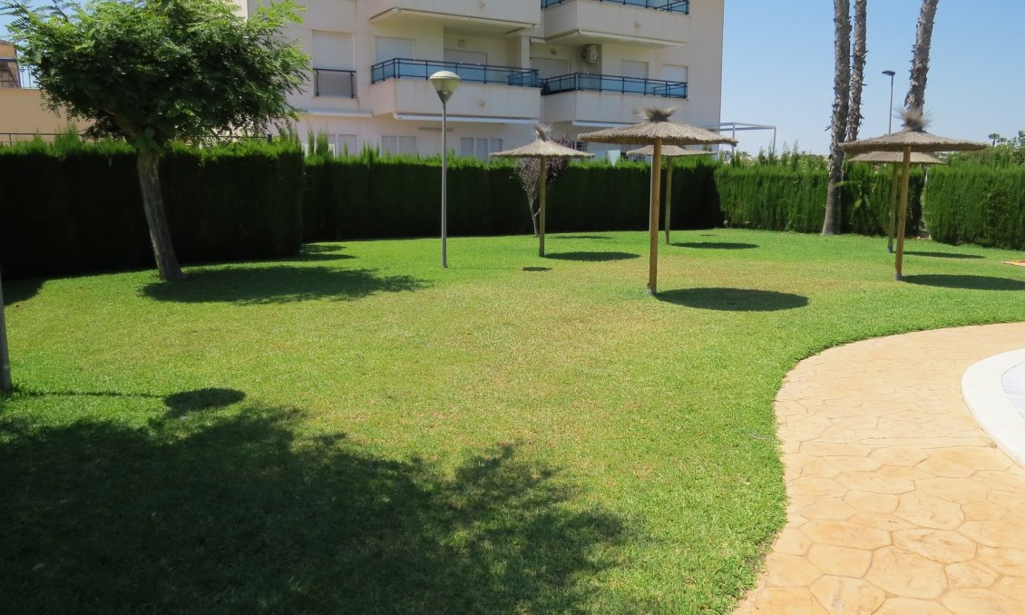 Segunda mano - Apartamento -
Pilar de la Horadada - Costa Blanca