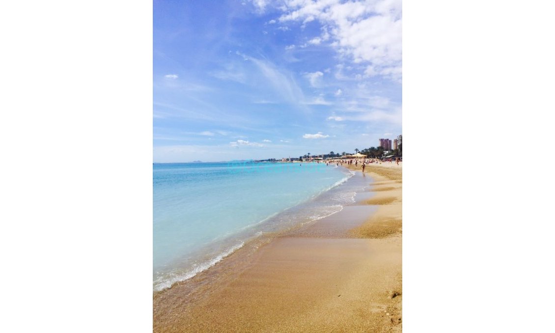 Segunda mano - Villa -
Torrevieja - Costa Blanca