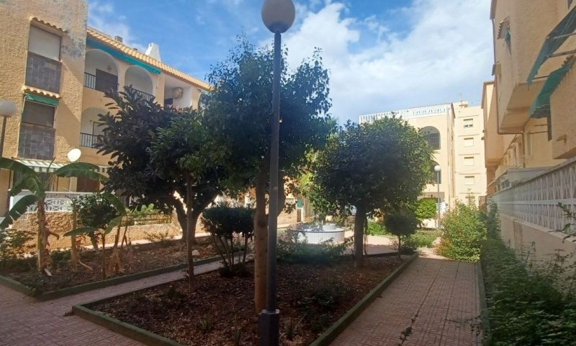 Wiederverkauf - Bungalow -
Torrevieja - Costa Blanca