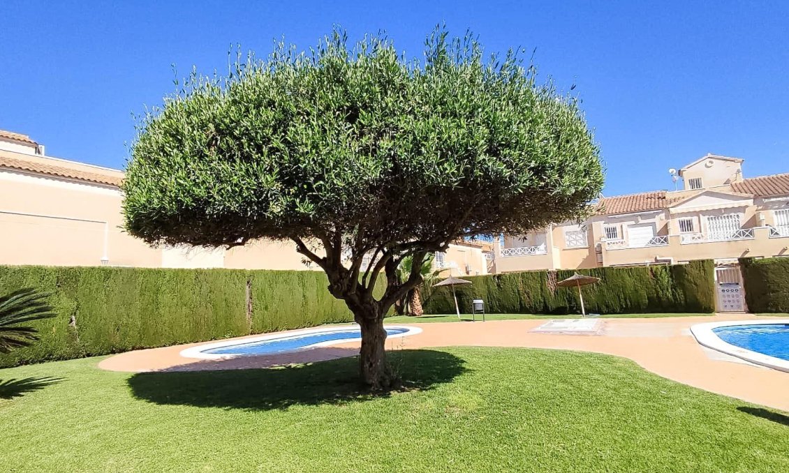 Revente - Bungalow -
Torrevieja - Parque Acuático - Sector 25