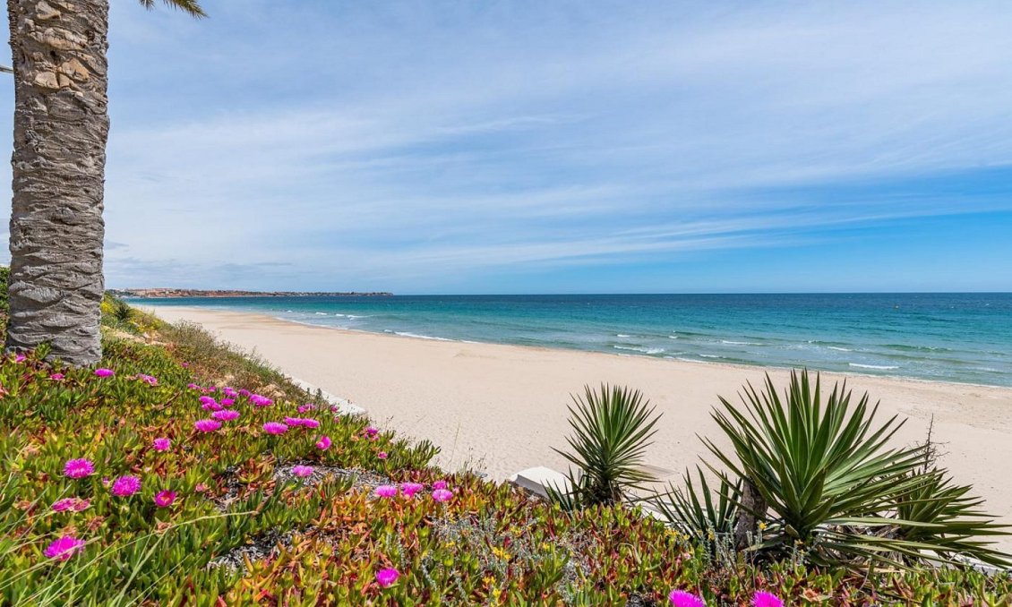 Segunda mano - Villa -
San Pedro del Pinatar - Costa Calida