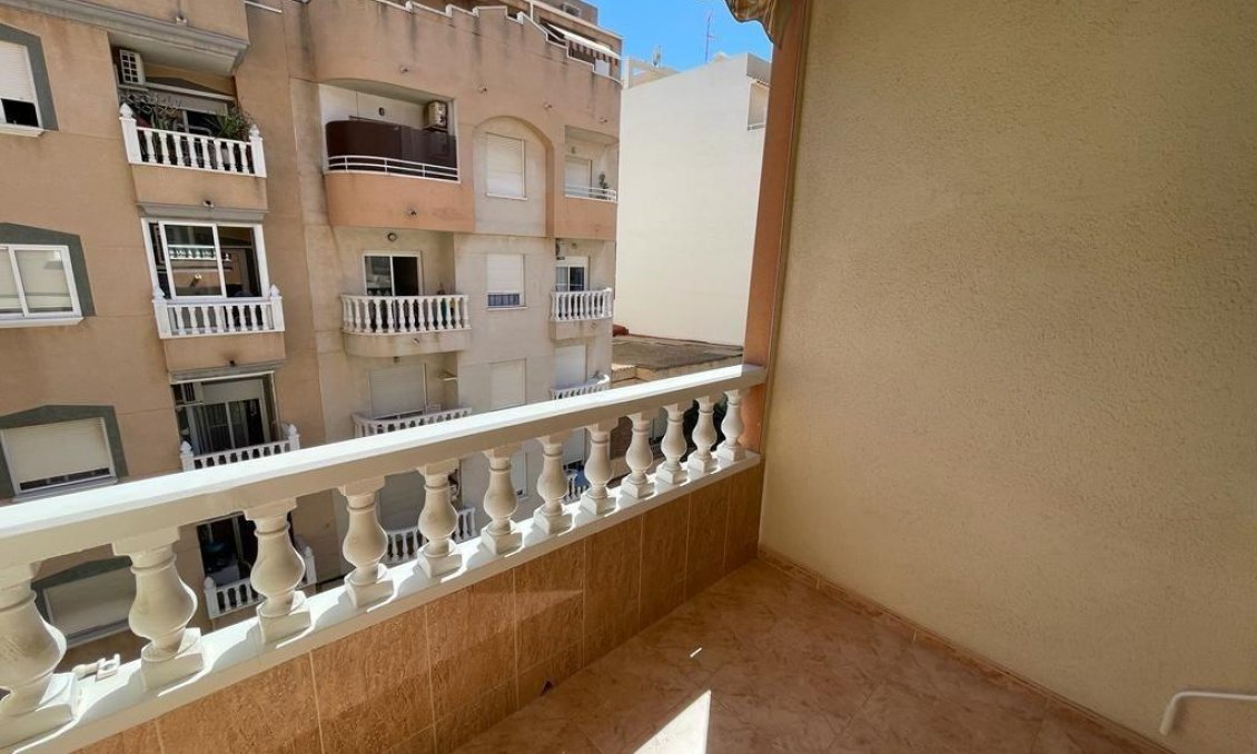 Segunda mano - Apartamento -
Torrevieja - Estacion De Autobuses