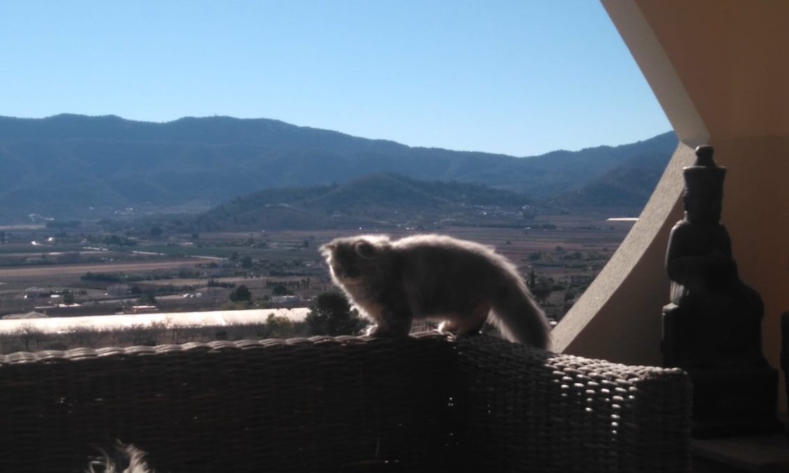 Segunda mano - Villa -
Hondón de las Nieves - Inland