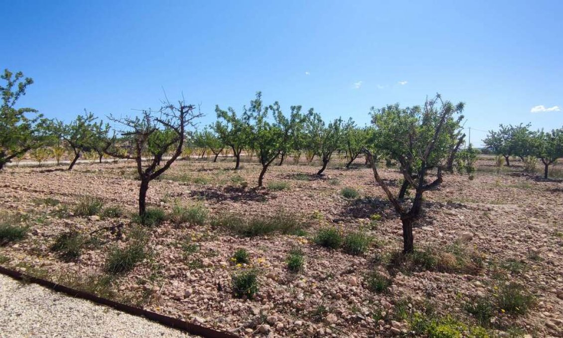 Segunda mano - Villa -
Pinoso - Inland