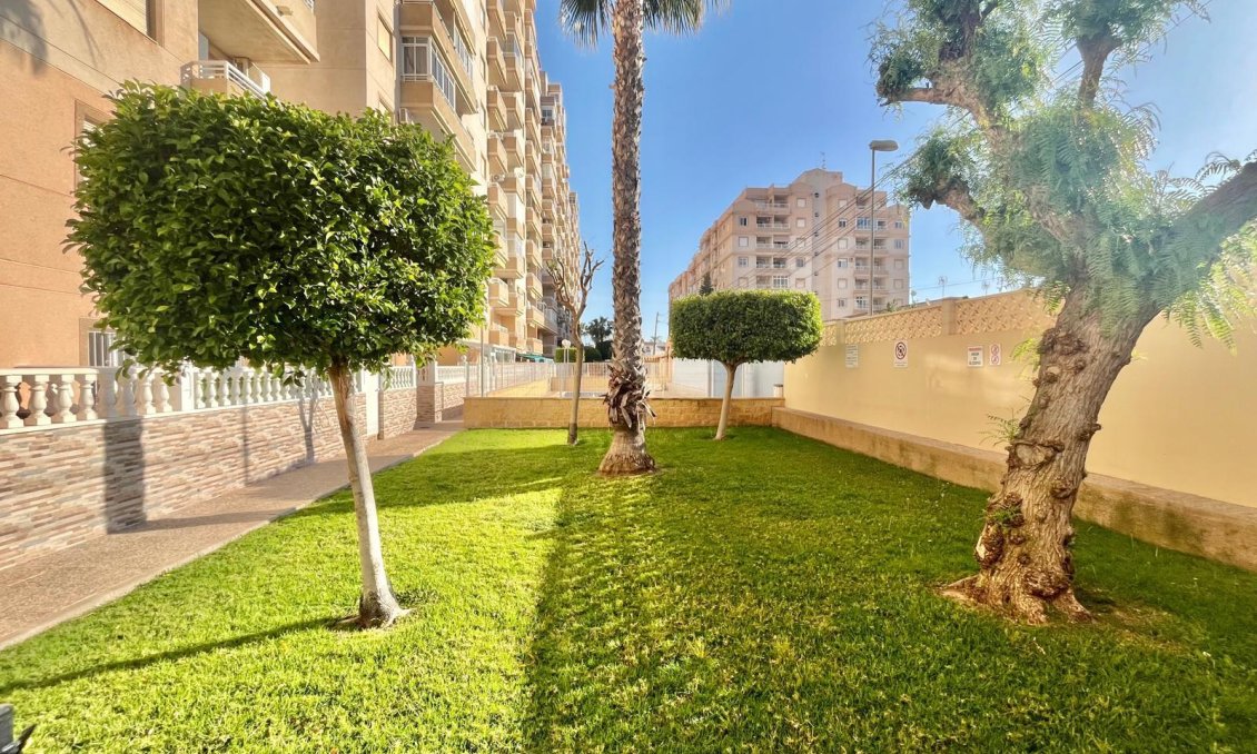 Segunda mano - Apartamento -
Torrevieja - Calas Blanca