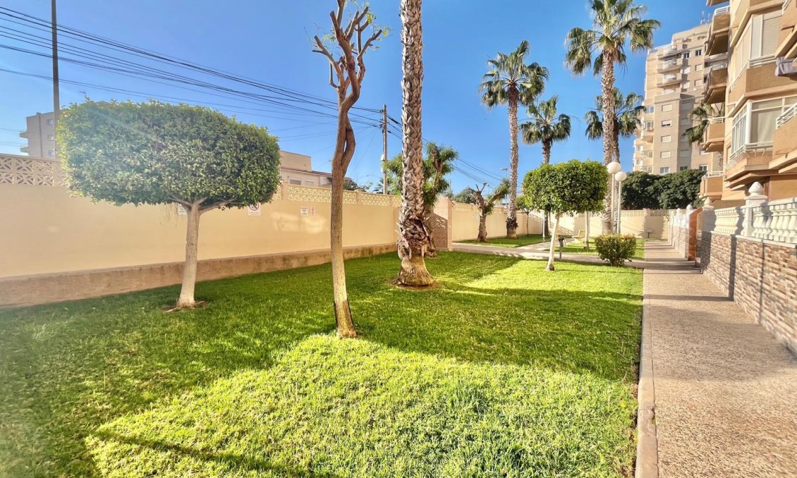 Segunda mano - Apartamento -
Torrevieja - Calas Blanca