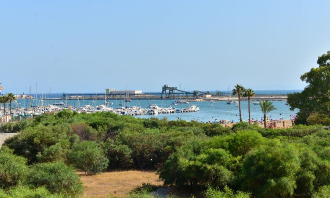 Használt Ingatlanok - Apartman -
Torrevieja - Costa Blanca